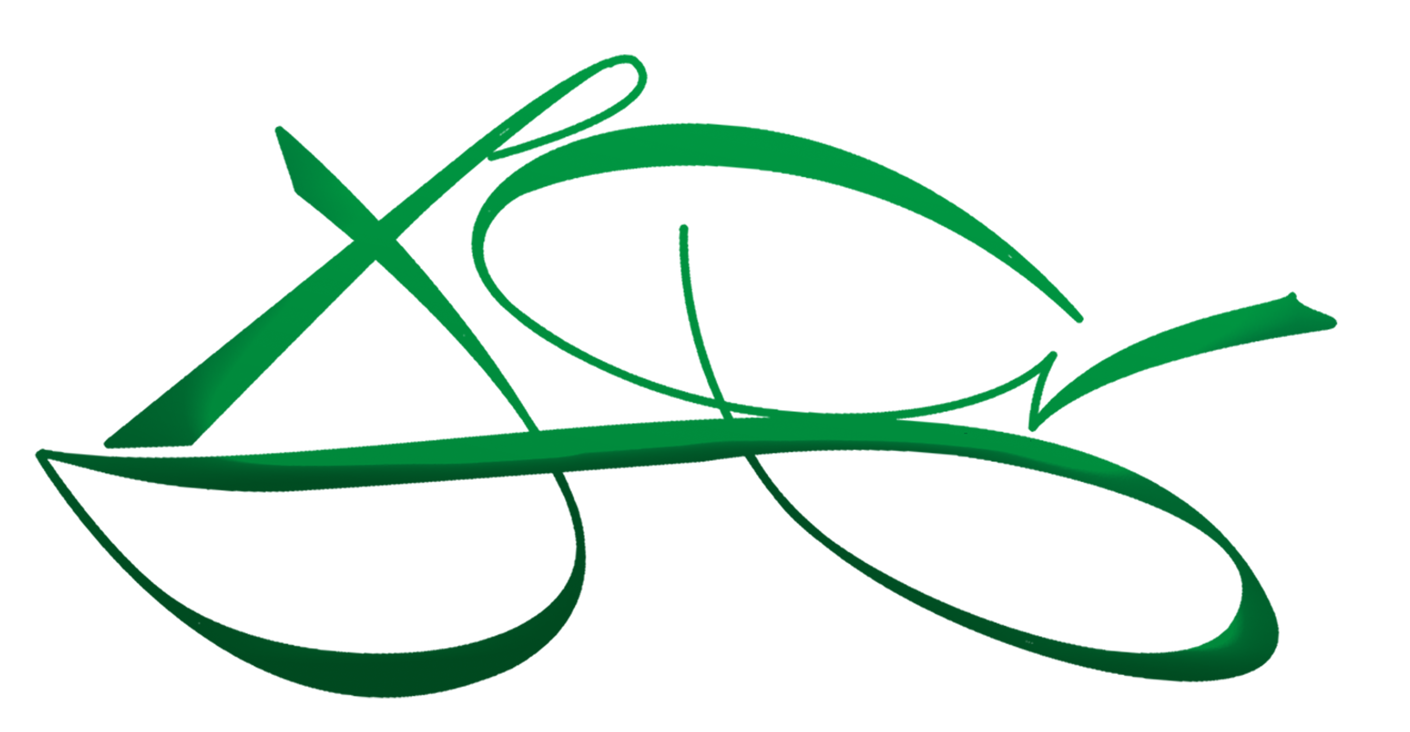 Resurrection Bikes Logo - cropped