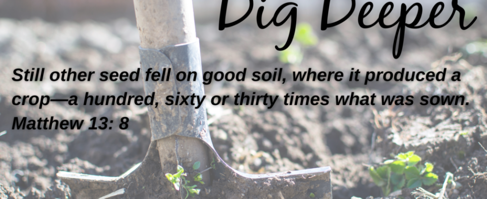 Dig Deeper (Presentation (169)) (1)