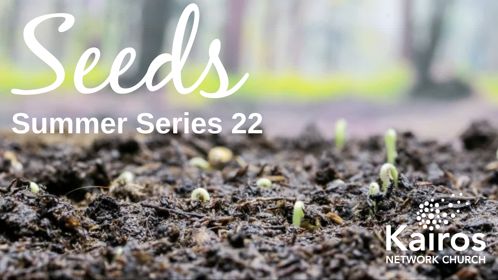 Seeds (4)