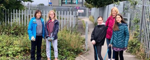 kindle litterpick
